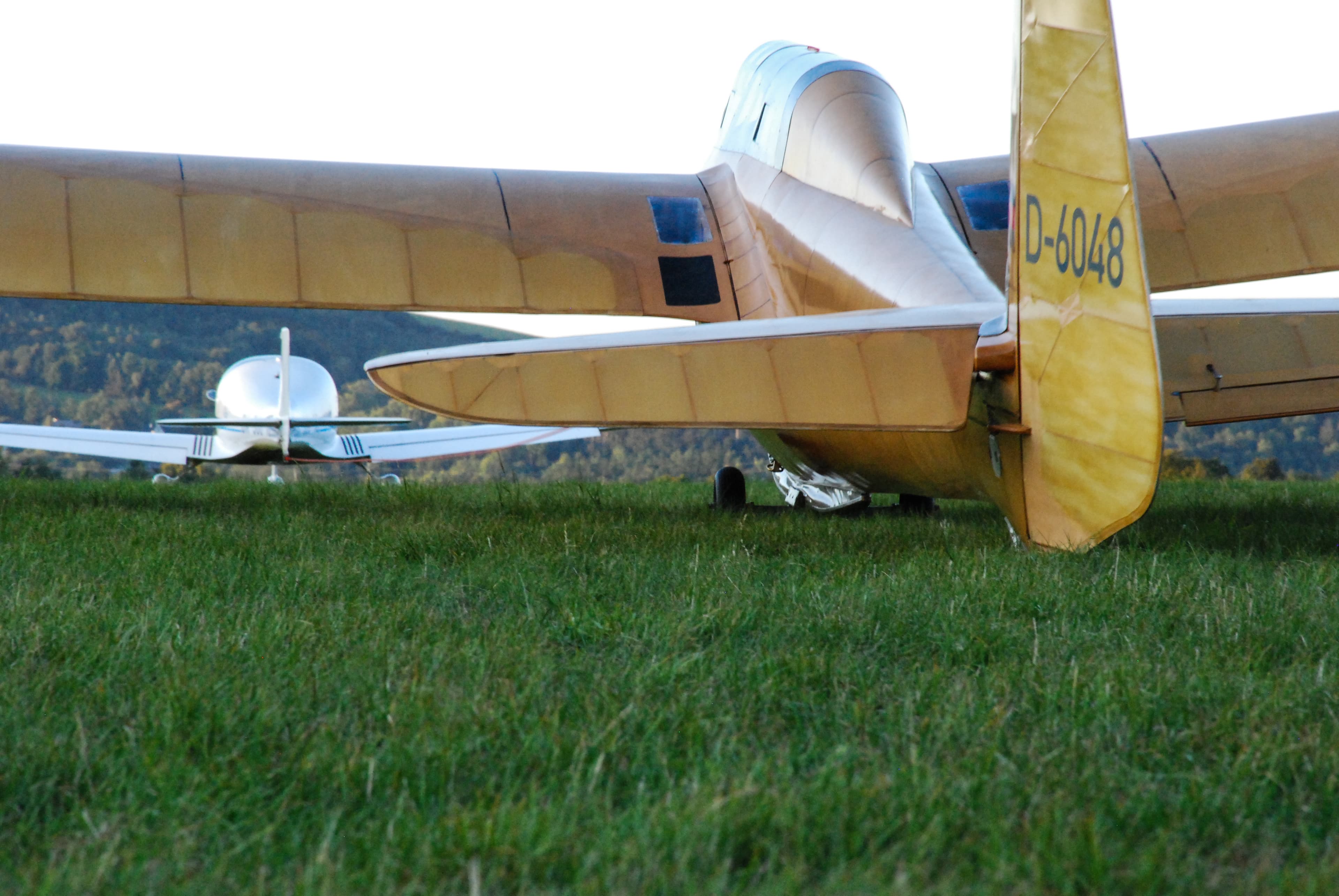 DFS Kranich II (D-6048)